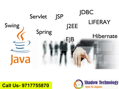 java custom software development company in gurgaon