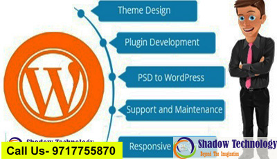 wordpress website development company in gurgaon