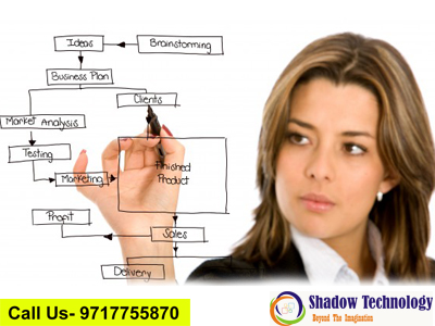Online Marketing Company in Gurgaon-Shadowtechnology.in