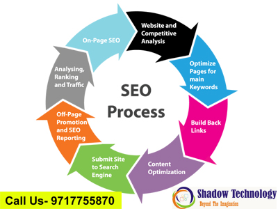 Seo Services in Gurgaon-Shadowtechnology.in